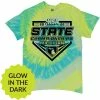DSG Apparel 2022 NSA Michigan State Championships Fastpitch Tournament T-Shirt