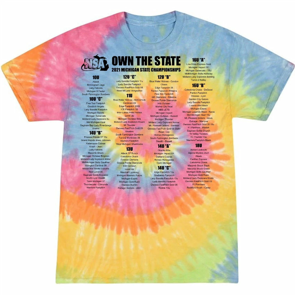 DSG Apparel 2021 NSA Michigan State Championships Fastpitch Tournament T-Shirt - Image 3
